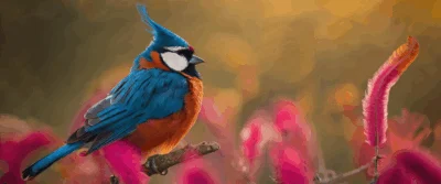 Graines pour oiseaux : Comment choisir, associer et optimiser l’alimentation de vos compagnons à plumes